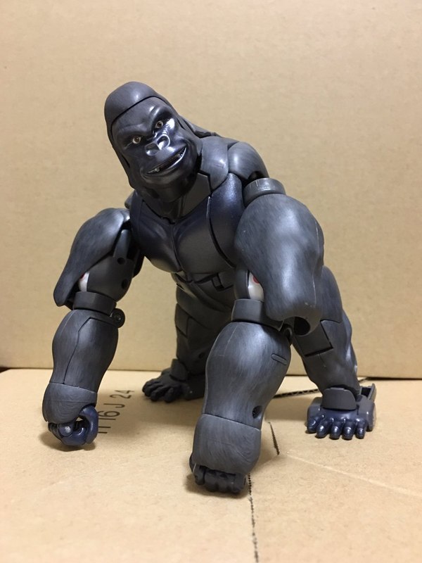 MP 32 Masterpiece Optimus Primal   In Hand Photos Surface On Twitter  (69 of 81)